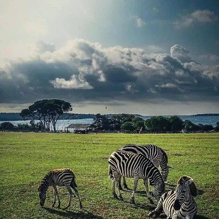 Apartment Tobys Place Pula