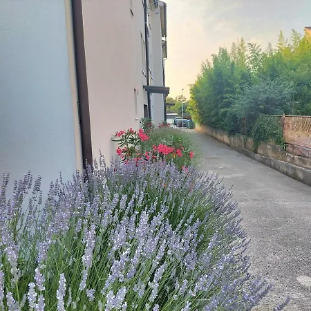 Tobys Place Apartment Pula