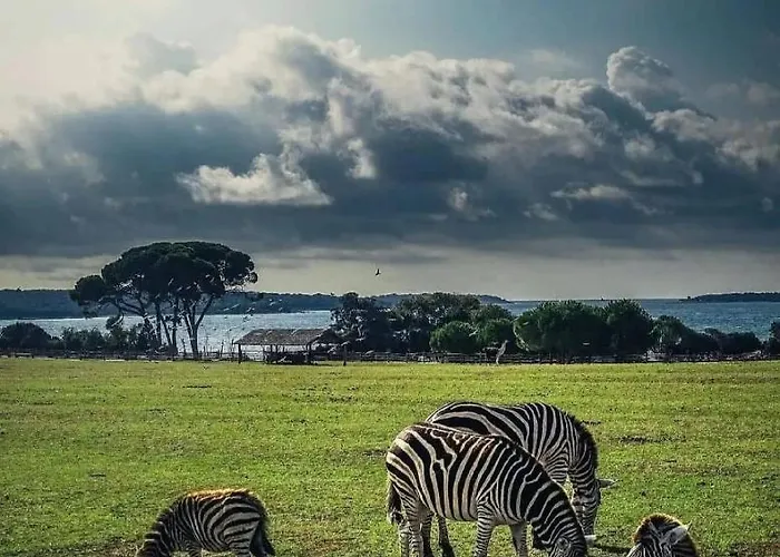 Apartman Tobys Place Póla