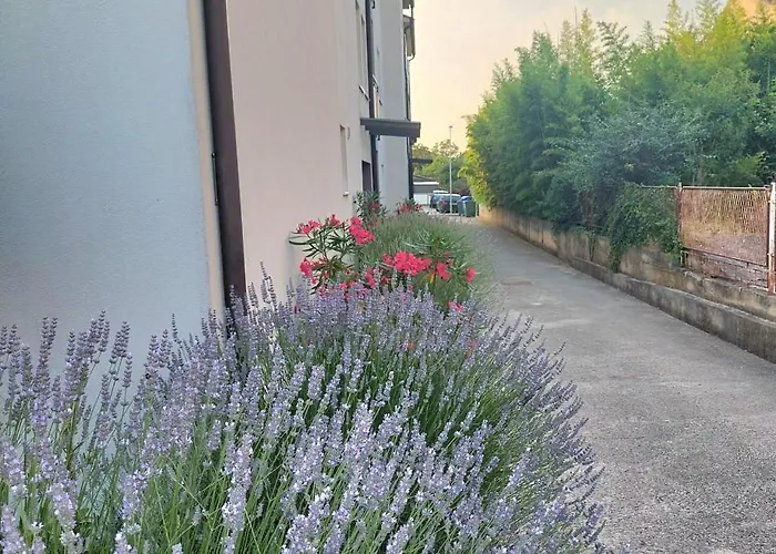 Tobys Place Apartman Póla