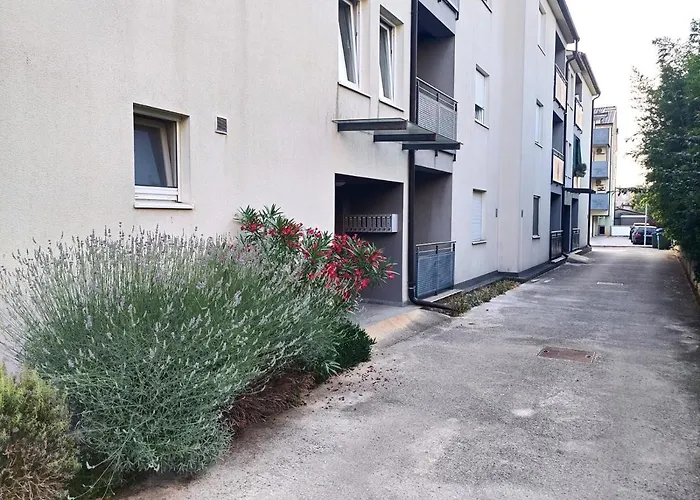 Tobys Place Apartment *